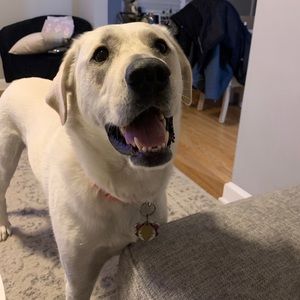 Meet your Posher, Brittany